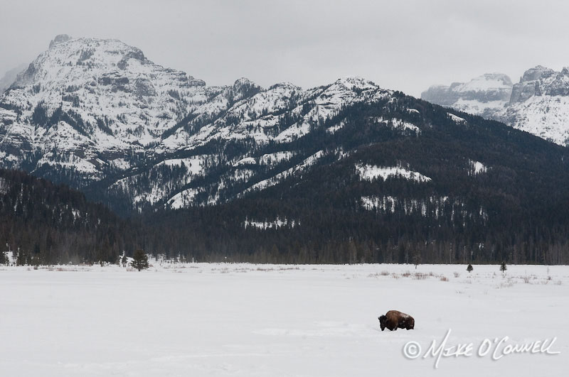 Winter in Round Prairie